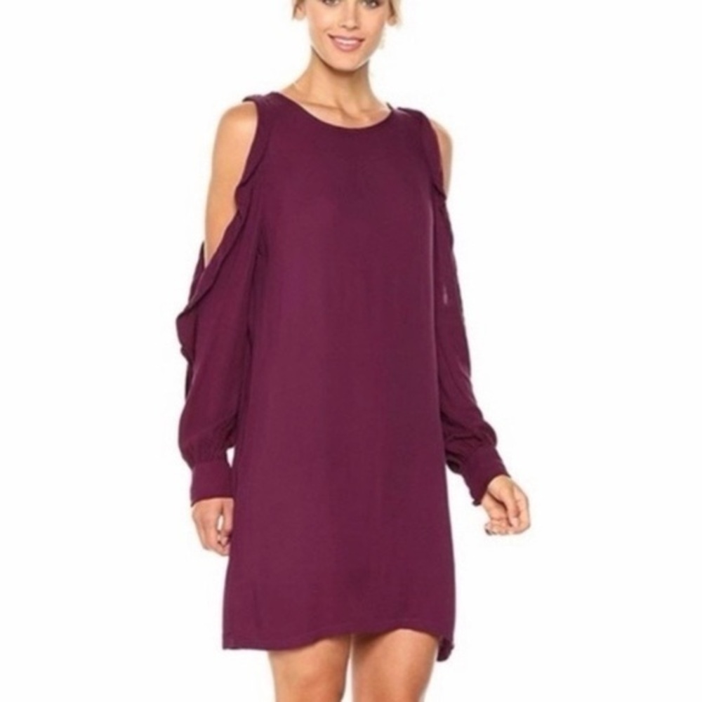 Young Fabulous & Broke Kaitlin dress in plum, size S, NWOT